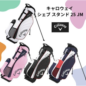 I󖢑ΉyVizLEFC VFu X^h 25 JM LfBobO yw0zyP0z