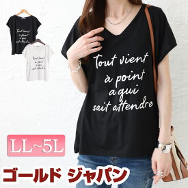 大きいサイズ レディース トップス Tシャツ カットソー VネックロゴTシャツ 半袖Tシャツ ロゴTシャツ ロゴトップス 半袖トップス 半袖カットソー スリット 半袖 ロゴ Vネック プリント ルーム 夏新作 夏 春 LL 2L 3L 4L 5L ホワイト 白 ブラック 黒 ゴールドジャパン