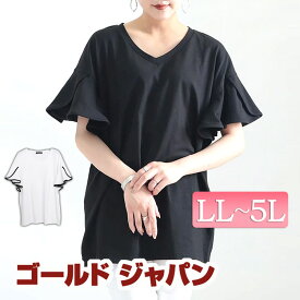 大きいサイズレディース トップス Tシャツ カットソー パイピングフリル袖Vネックプルオーバー 半袖 Vネック ロング フリル ドレープスリーブ ドレープ プルオーバー パイピング 夏新作 春服 夏服 LL 2L 3L 4L 5L オフホワイト ホワイト 白 ブラック 黒 ゴールドジャパン