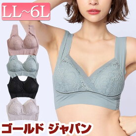 大きいサイズレディース インナー 下着 ブラジャー カシュクールヘムノンワイヤーブラジャー ブラ レース 谷間 セクシー ノンワイヤー ナイトブラ ストレッチ カシュクール 冬新作 秋服 冬服 春服 夏服 LL 2L 3L 4L 5L 6L サックス ピンク ブラック 黒 ゴールドジャパン