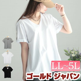 大きいサイズレディース トップス カットソー Vネック半袖Tシャツ Vネック Tシャツ 半袖トップス 半袖 半そで ベーシック シンプル ルーム 無地 カジュアル 韓国 韓国ファッション 春新作 春服 夏服 秋服 LL 2L 3L 4L 5L ブラック 黒 ホワイト 白 グレー ゴールドジャパン