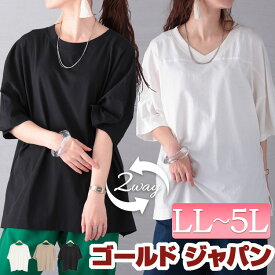 大きいサイズレディース トップス Tシャツ カットソー 前後2WAYビッグTシャツ ビッグTシャツ 5分袖 半袖 2way Vネック クルーネック スリット ストレッチ ビッグ 無地 伸縮 春新作 春服 夏服 LL 2L 3L 4L 5L オフホワイト 白 ブラック 黒 グレーベージュ ゴールドジャパン