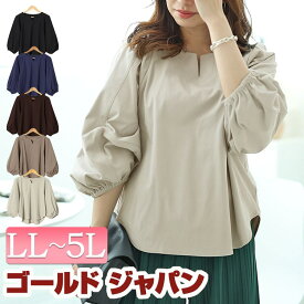 大きいサイズ レディース トップス 肩タックボリュームスリーブキーネックプルオーバー キーネック 7分袖 5分袖 ボリュームスリーブ ボリューム袖 夏新作 夏服 春服 秋服 LL 2L 3L 4L 5L ブラック 黒 アイスグレー グレージュ ダークブルー ダークブラウン ゴールドジャパン