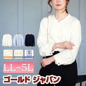 大きいサイズ レディース トップス ブラウス タックラッセルストレッチブラウス ボウタイブラウス 長袖 タックラッセル ボウタイ タック ストレッチ シワになりにくい 洗濯 フォーマル 通勤 冬新作 春服 秋服 LL 2L 3L 4L 5L ホワイト 白 サックス ネイビー ゴールドジャパン
