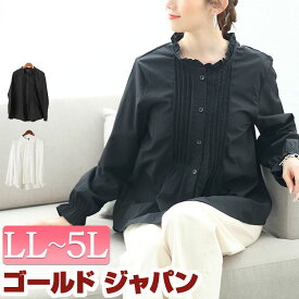 大きいサイズ レディース トップス ブラウス フリルネックプリーツブラウス フリルネック ボタン キャンディー袖 長袖 前後差丈 プリーツ 無地 オフィス 卒業式 卒園式 入園式 入学式 ガーリー 春新作 秋服 冬服 LL 2L 3L 4L 5L ブラック 黒 ホワイト 白 ゴールドジャパン