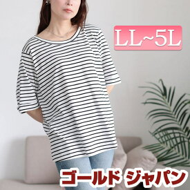 大きいサイズ レディース トップス Tシャツ カットソー 接触冷感＆UVカット前後2wayボーダーTシャツ ボーダーTシャツ 半袖 5分袖 ボーダー 柄 接触冷感 ひんやり UVカット UV 2way 前後 ストレッチ 伸縮 夏新作 夏服 秋服 春服 LL 2L 3L 4L 5L ホワイト 白 ゴールドジャパン