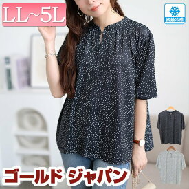大きいサイズ レディース トップス ブラウス シャツ 接触冷感ドット柄ストレッチブラウス 5分袖 半袖 接触冷感 ひんやり ドット柄 ドット タック キーネック ストレッチ 伸縮 オフィス 通勤 夏新作 夏服 秋服 春服 LL 2L 3L 4L 5L ブラック 黒 オフ 白 ゴールドジャパン