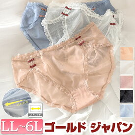 大きいサイズ レディース インナー 下着 ショーツ ドット柄シアーレースショーツ シアー 透け感 ドット柄 メッシュ リボン ストレッチ 伸縮性 シンプル 秋新作 春服 夏服 秋服 冬服 L LL 2L 3L 4L 5L 6L ブラック 黒 ベージュ ブルー ホワイト 白 ピンク ゴールドジャパン