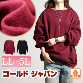 大きいサイズ レディース トップス 裏起毛ミニハイネックプルオーバー 長袖 ロング 裏起毛 暖かい ハイネック トレーナー スウェット オーバーサイズ ドロップショルダー ストレッチ ゆったり 秋新作 秋服 冬服 春服 LL 2L 3L 4L 5L ブラック 黒 ワイン ゴールドジャパン