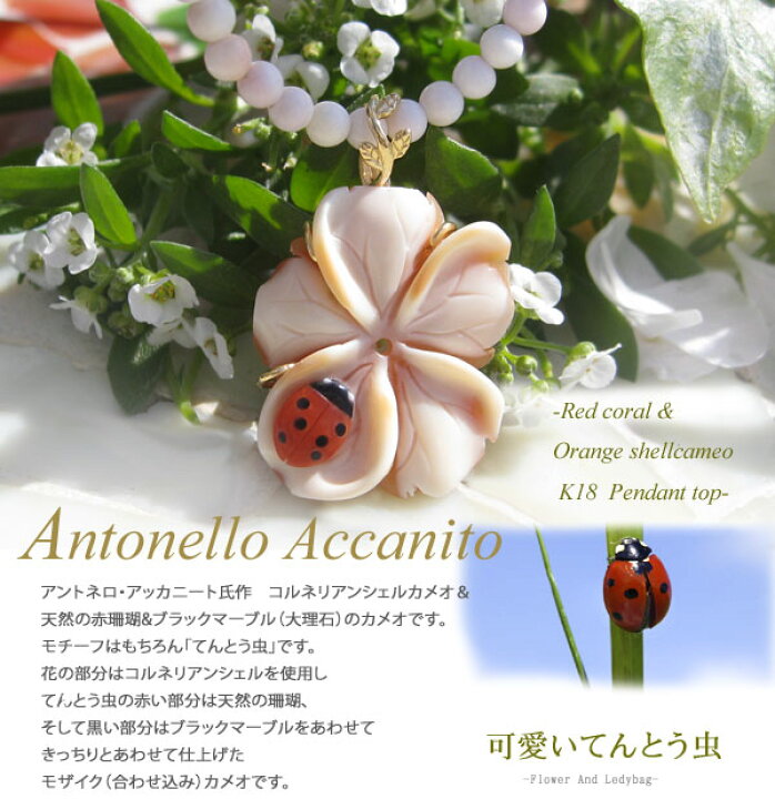 楽天市場】カメオ ペンダントAntonello Accanito作コルネリアンシェル 