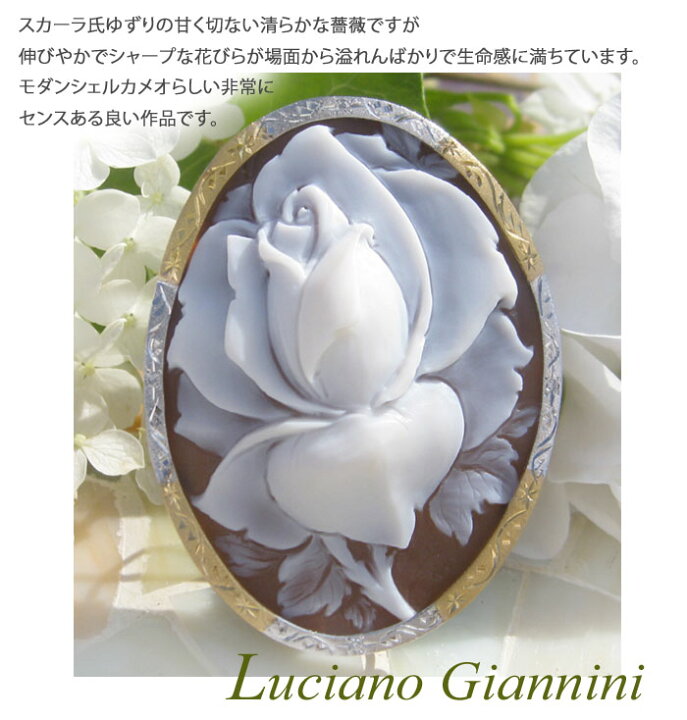 楽天市場】Luciano Giannini作 サードニクス シェル カメオ天然 