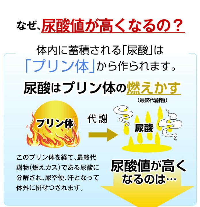 楽天市場 アンセリン 尿酸値 尿酸 下げる サプリ サポート プリン体 牡蠣 亜鉛 尿酸値対策 国内製造 痛風 通風 機能性表示食品 つうふう 尿酸バスターズ 1粒 メール送料無料 生き生きlife Mart 楽天市場店