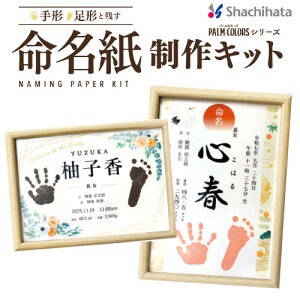 V` Lbg ` ` mߋ Mtg v[g oYj V`n^ `X^v Ԃ@shachihatay3091000061z