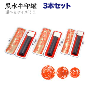 yZ[Ԍ艿iz(c)3{Zbg P[Xt  y10.5mm`16.5mm z m̎蒤dグI Iׂ6  s F ͂ o^ ͂ ӏؖp AE