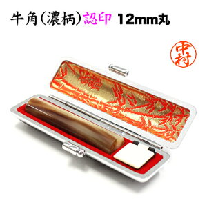 F/p(Z)/12mmہ@vP[Xt F nR O ͂  AEj l   MtgyRCPzy3003030005z