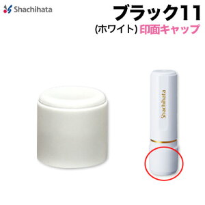 V`n^ubN11pLbvizCgj  V`n^ ͂ i Wy3041040007z