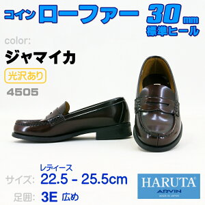 fB[XHARUTA[t@[ yWq[30mm W}CJz L3EE򂠂@q ʊwC wC Z@  