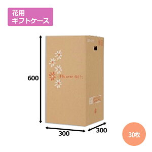 ԗpMtgP[XMB-120S 300×300×600mm^700u30v@Mtgp  bsO  z _{[ i{[