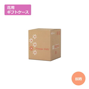 ԗpMtgP[XMB-60 185×185×220mm^270u80v@Mtgp  bsO  z _{[ i{[