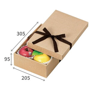 RȂi`{bNX305×205×[95mmu100v