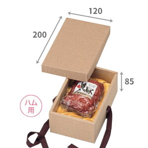 Rti`{bNXzt 200×120×[85mmu100v