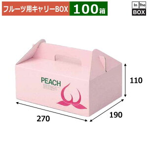 t[cpL[BOX   270×190×110(mm) 2LTCY5u100v