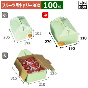 t[cpL[BOX O[  270×190×110(mm) ,,5`6u100v