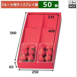 t[cpfBXvC fBXvC{bNX 3i OF250×500×65AF235×490(mm) 300gpbN6u50v