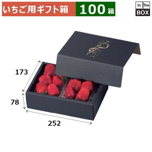 pMtg 炫 pbN 252×173×78(mm) u100v