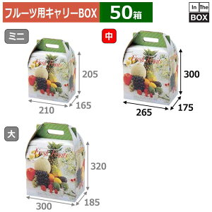 �t���[�c�p�L�����[BOX �j���[�L�����[ �� 265×175×300(mm) �u50���v