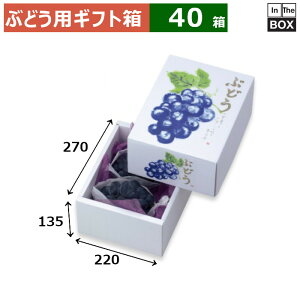 ԂǂpMtg Ă̂Ԃǂ 270×220×135(mm) 嗱Ԃǂ2[u40v