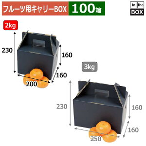 �t���[�c�p�L�����[BOX ���� 2kg 200×160×160�i230�j(mm) �݂����2kg�u100���v