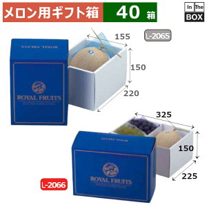 pMtg 2u[@C 325×225×150(mm) u40v