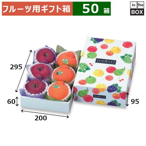 t[cpMtg ǂpbg  200×295×95ig[60j(mm) 326u50v