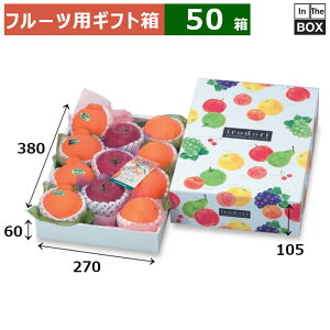 t[cpMtg ǂpbg  270×380×105ig[60j(mm) 3612u50v