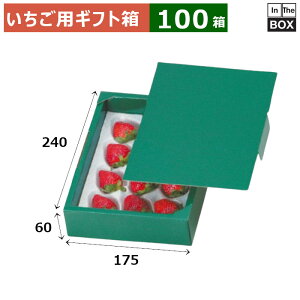 pMtg C`SNbVpO[ 240×175×60(mm) u100v