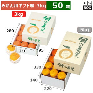 ݂pMtg {̔  280×210×95(mm) ݂3kgu50v