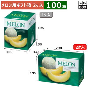 pMtg fVX@2 290×145×195(mm) 6ʃTCYA8kgNX2u100v