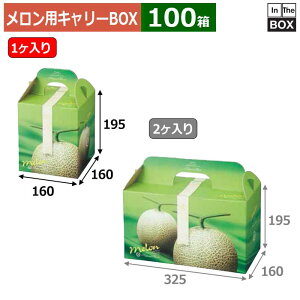 pL[BOX WG 1 160×160×195(mm) 59kgNX1u100v