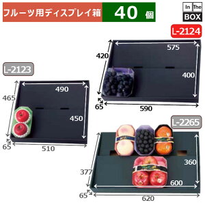 t[cpfBXvC fBXvC{bNX 2Lp OF420×590×65AF400×575(mm) u40v