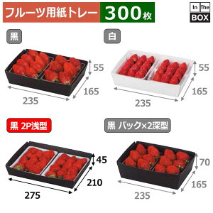 t[cpg[ ~jig[ 2P^ 275×210×45A254×189(mm) g[TCY200×135mm2pbNu300v