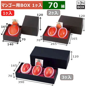 }S[pBOX }S[ 1P 140×165×120(g[70)(mm) }S[3L1u70v