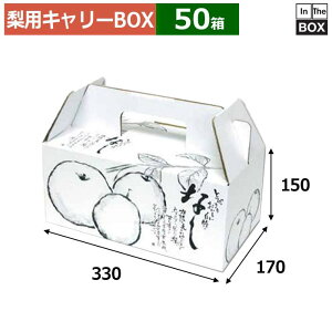 pL[BOX ̂Ȃ  330×170×150(mm) 6u50v