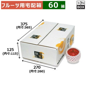 t[cpz LʐW B OF375×270×H125@F365×260×H115(mm) O[vt[c369`10u60v