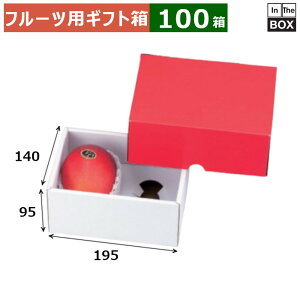 t[cpMtg Cn[tbhBOX 140×195×95(mm) }S[2L2u100v