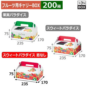 t[cpL[BOX XEB[gp_CX Ȃ 235×170×75(mm) 300g×2pbNu200v