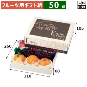 t[cpMtg {ʐW  310×260×105ig[60j(mm) 328u50v