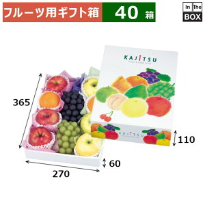 t[cpMtg ʎpbg B 270×365×110ig[60j(mm) LTCYor3612u40v
