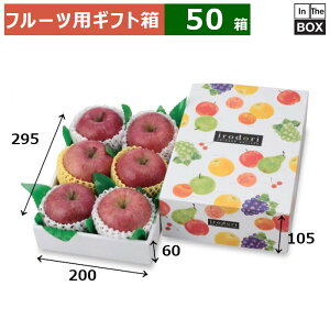 t[cpMtg ǂpbg 105 200×295×105ig[60j(mm) 326u50v