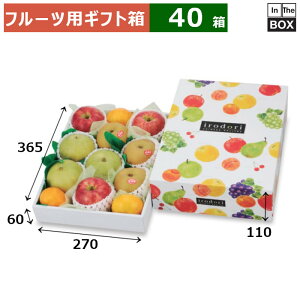 t[cpMtg ǂpbg B 270×365×110ig[60j(mm) Lor3612u40v